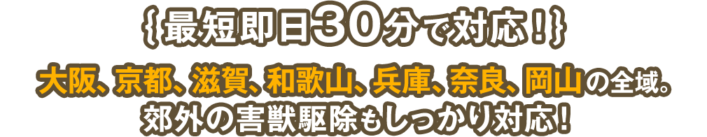 {最短即日30分で対応!}大阪、京都、滋賀、和歌山、兵庫、奈良、岡山の全域。郊外の害獣駆除もしっかり対応!