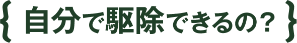 自分で駆除できるの?