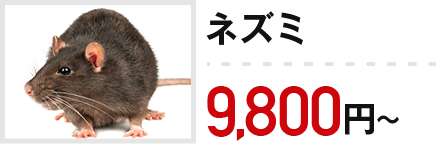 ネズミ:9,800円~